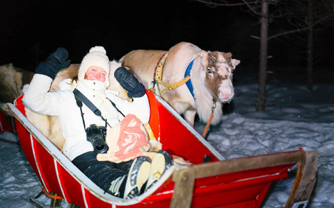 冬天骑驯鹿雪橇的女孩夜间反射
