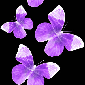 环境 动物 开花 水彩 优雅 梦想 蝴蝶 花的 精彩的 翅膀