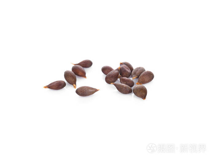 白底苹果籽