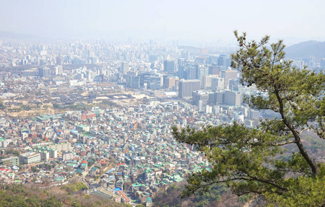 建筑学 旅行 花园 美丽的 美女 南方 环境 公园 场景