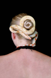 无毒的大蟒蛇,白化蛇类,在她的头发上滑行爬行,并将自己包裹在一簇