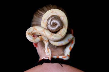 无毒的大蟒蛇,白化蛇类,在她的头发上滑行爬行,并将自己包裹在一簇