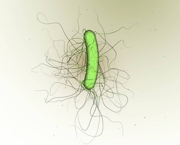 难辨梭状芽孢杆菌,科学3d插图照片