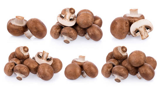 白底蘑菇香菇