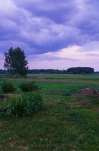 一望无际的田野和灰色的雷云。