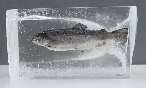 灰色背景下的生鱼冷冻冰块照片