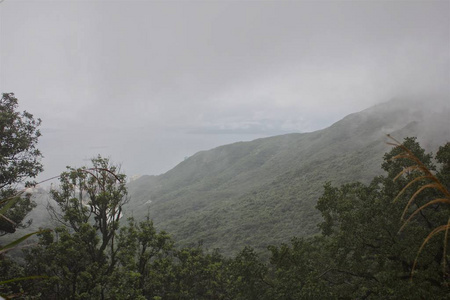 早晨 薄雾 旅游业 亚洲 森林 天空 岩石 山谷 旅行 风景