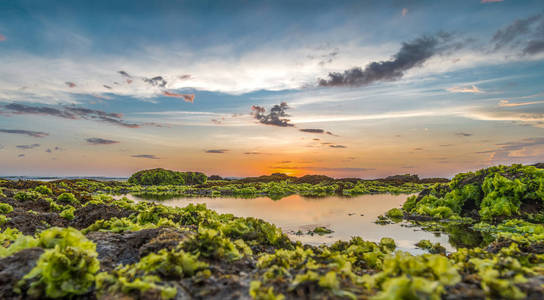 巴厘岛巴图博龙海滩日落景观图片