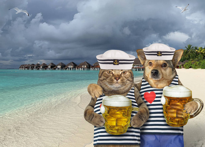 海的猫摄影图 海的猫图片大全 海的猫照片 摄图新视界