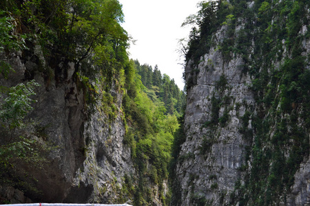 自然 森林 岩石 峡谷 旅行 约塞米蒂 夏天 公园 风景