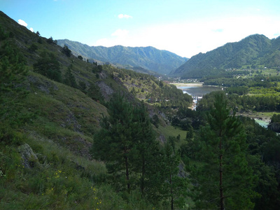 magnificent landscape river on the shore in the Altai mountains 