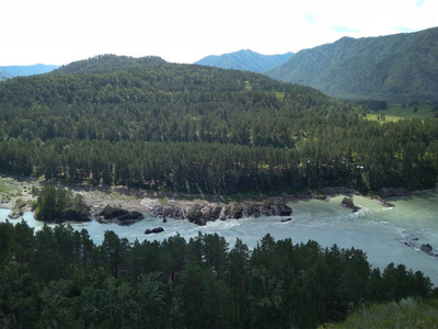 旅行 全景图 风景 旅游业 森林 自然 岩石 夏天 天空