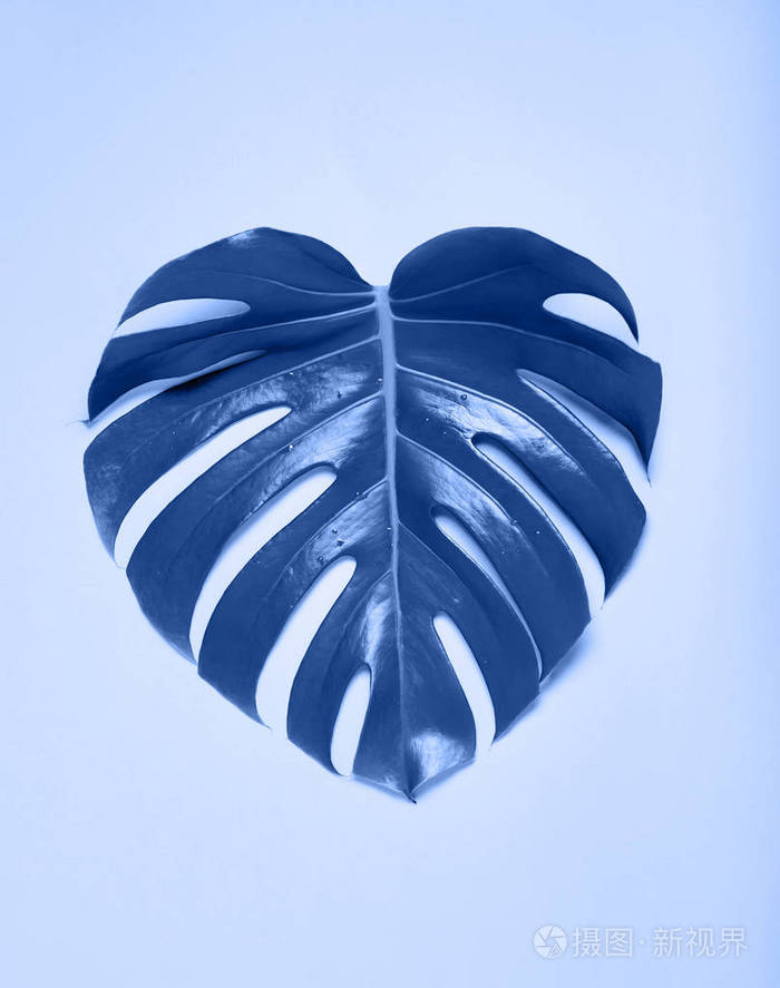 心脏的形状.2020年蓝色趋势.