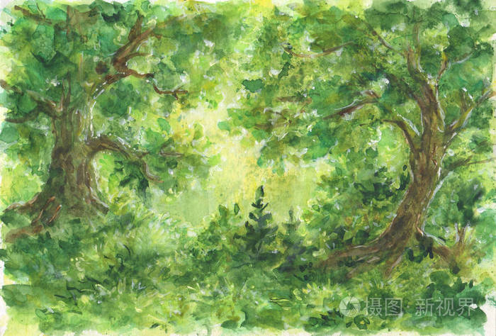 森林水彩风景画绿色绘画