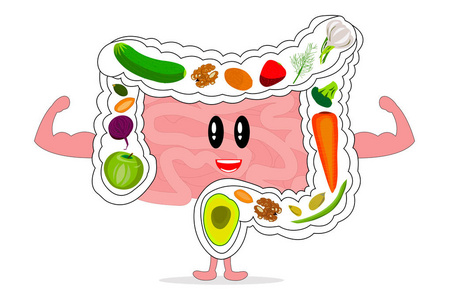 消化良好.强壮的肠子.对肠道有益的食物,纤维,蔬菜,水果.肠子微笑照片