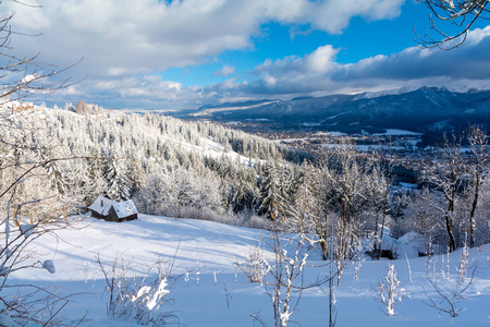 旅游业 阿尔卑斯山 美丽的 波兰 天空 全景图 塔特拉 滑雪