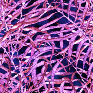 水彩画凌乱的棕榈叶,日本竹子.紫色异国情调的泳装设计.