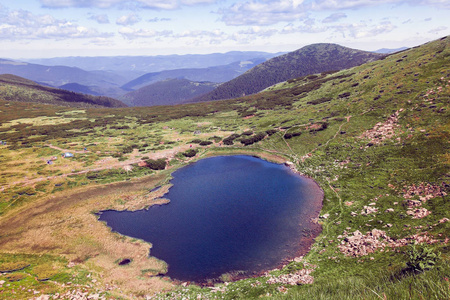 中部的山湖雀巢图片