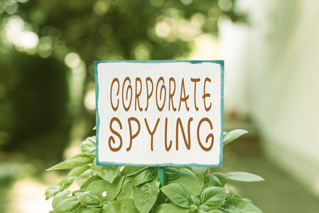 公司间谍记录。商业照片展示调查竞争对手以获取商业优势的商业照片。普通纸贴在棍子上，放在草地上。