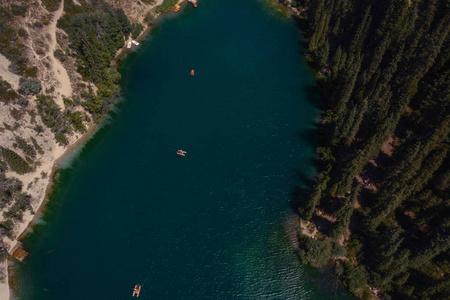 自然 美女 旅游业 夏天 美丽的 公园 森林 风景 反射