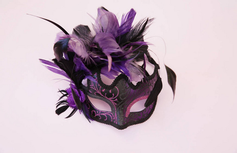 狂欢节 伪装 马尔迪 聚会 幻想 紫色 自然 美女 威尼斯人