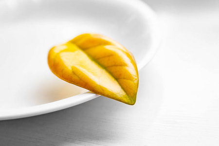 Yellow sheet on a white porcelain plate. Lonely withering leaf. 