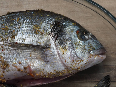 美食家 金雀花 动物 抓住 食物 鱼类 特写镜头 海鲜 钓鱼