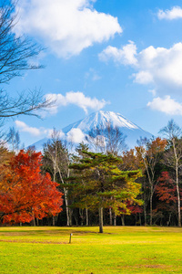 富士山风景秀丽，周围有枫叶树