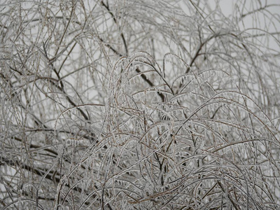 纹理 寒冷的 古老的 风景 自然 雨夹雪 季节 特写镜头