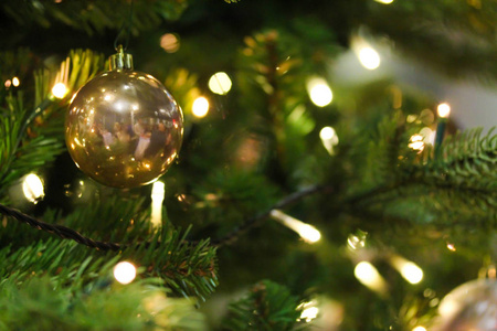 装饰着金光闪闪的圣诞树图片