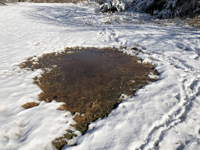 古老的 寒冷的 雨夹雪 冬季背景 季节 旅游业 美丽的 特写镜头