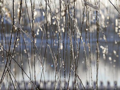 自然 寒冷的 季节 古老的 纹理 风景 雨夹雪 旅游业 特写镜头