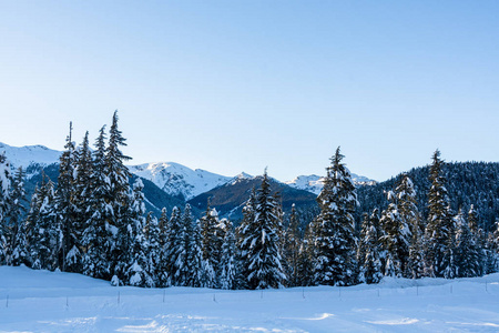 冬日雪景山和森林从奥运村在威斯特勒，公元前。