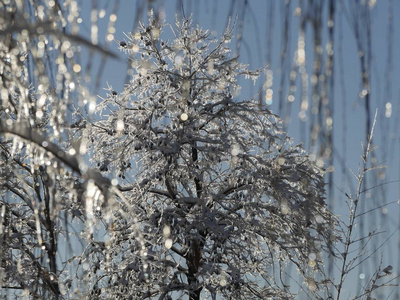 纹理 旅游业 风景 古老的 自然 季节 雨夹雪 寒冷的 特写镜头