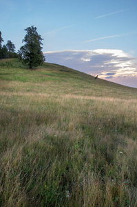 Summer landscape, mountainside on the background of the setting 