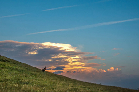 Summer landscape, mountainside on the background of the setting 