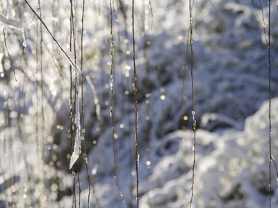 特写镜头 古老的 纹理 旅游业 自然 风景 季节 雨夹雪