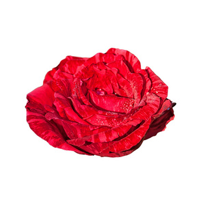  Beautiful red rose isolated on a white background