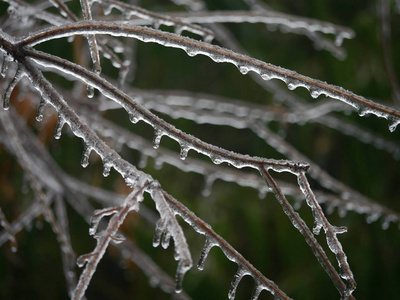 纹理 古老的 风景 寒冷的 雨夹雪 自然 特写镜头 季节