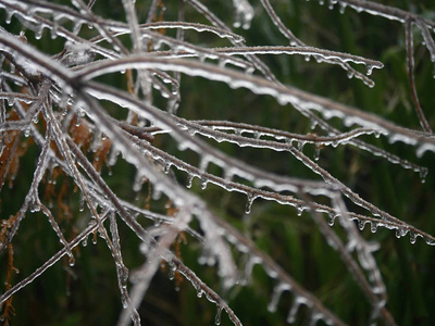 特写镜头 雨夹雪 自然 风景 纹理 季节 古老的 寒冷的