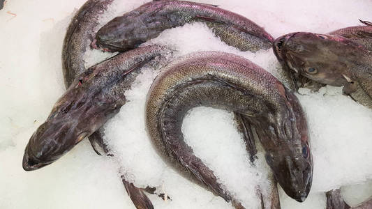 食物 美食学 鱼市 营养 生的 产品 蛋白质 烹饪 岛屿