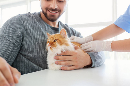 主人带着猫去诊所看兽医