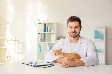 男兽医带着可爱的猫在门诊