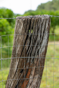 Barbed wire and fencing net on a support made of the trunk of a 