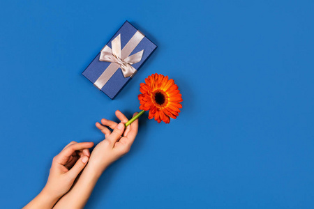 蓝色背景，手和情人节礼物。