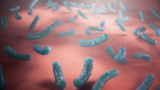微生物 真菌 科学 三维 细胞 狂犬病 病毒 流行病 艾滋病