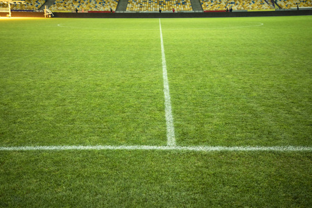 Football field with green grass and marking. Soccer field. White