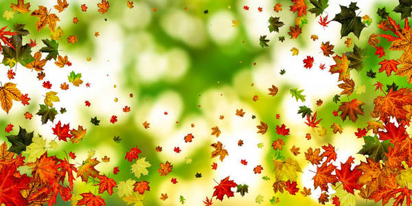 风的季节秋叶风.十一月下降模式背景.季节概念照片