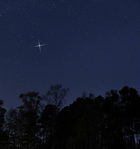 圣诞夜的一颗星星照片