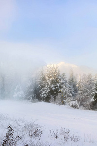 保加利亚班斯科度假村全景雪景